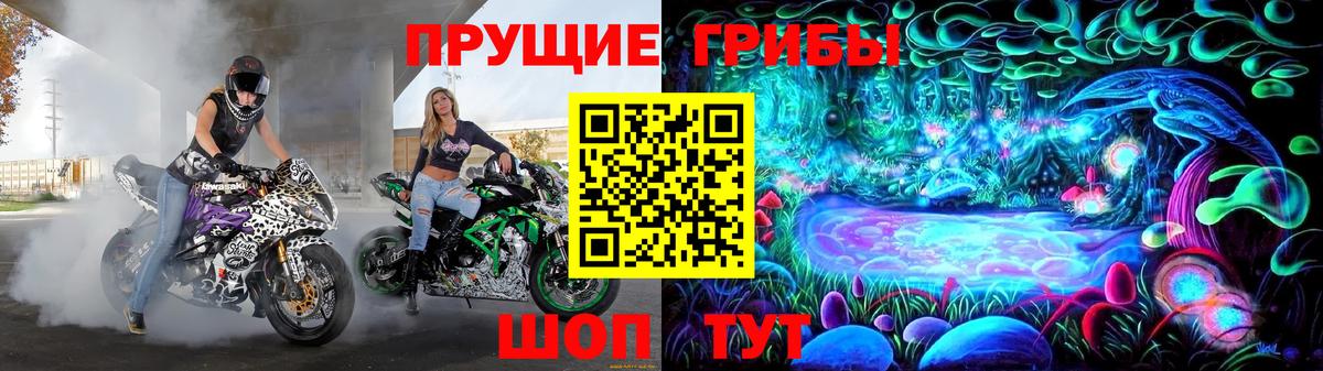 Курчатов  Галлюциногенные грибы Magic Shrooms  Галлюциногенные грибы MAGIC MUSHROOMS  Вход с VPN 
