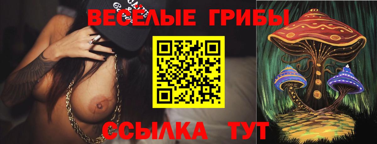 Галлюциногенные грибы мухоморы Курчатов